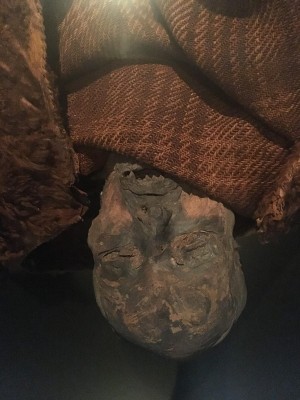 Figure 2. The Huldremose Woman, National Museum of Denmark (Photograph, M. Schlanker 2018)
